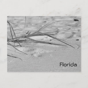 Florida Sand Briefkaart
