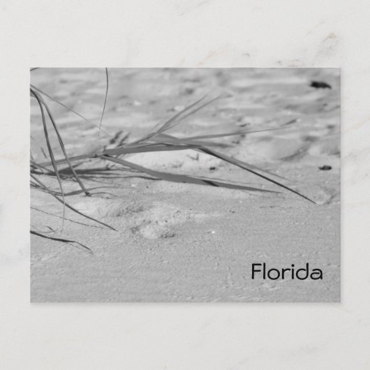 Florida Sand Briefkaart (Voorkant)
