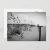 Florida Sand Dunes Briefkaart (Voorkant / Achterkant)