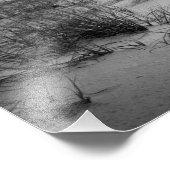 Florida Sand Dunes Foto Afdruk (Hoek)