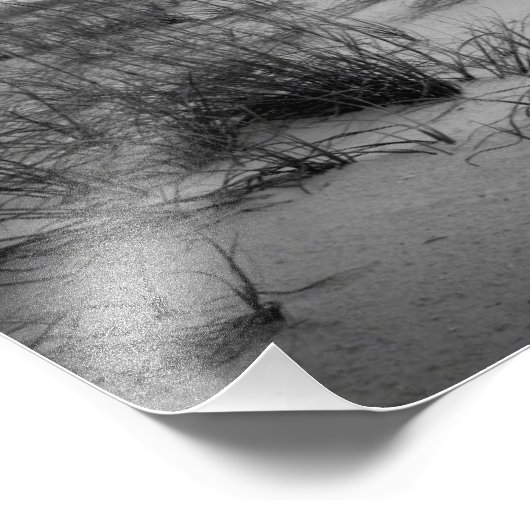 Florida Sand Dunes Foto Afdruk (Hoek)