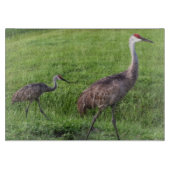 Florida Sand Hill Cranes Cutting Board Snijplank (Voorkant)