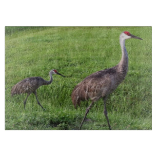 Florida Sand Hill Cranes Cutting Board Snijplank