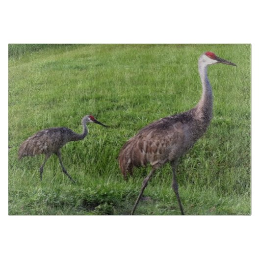 Florida Sand Hill Cranes Cutting Board Snijplank (Voorkant)