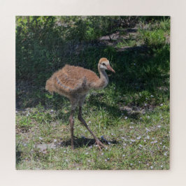 Florida Sandhill Crane Juvenile Baby Bird Afbeeldi Legpuzzel