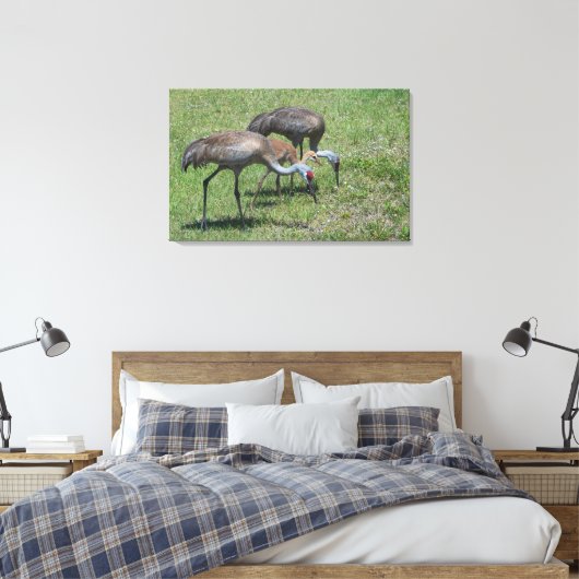 Florida Sandhill Cranes loopt op groen terrein Canvas Afdruk (Insitu (Slaapkamer))