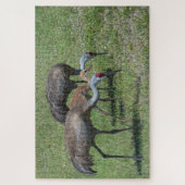 Florida Sandhill Cranes loopt op groen terrein Legpuzzel (Verticaal)