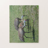 Florida Sandhill Cranes loopt op groen terrein Legpuzzel (Verticaal)