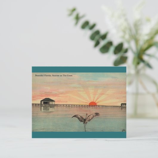 Florida Sandhill Sunrise Briefkaart (Staand voorkant)