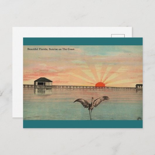 Florida Sandhill Sunrise Briefkaart (Voorkant / Achterkant)
