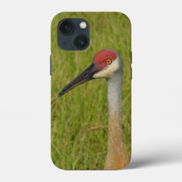 Florida Sandhilll Crane Bird Wildlife Fotografie Case-Mate iPhone Case