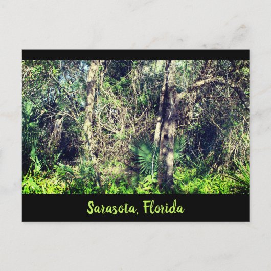 Florida Sarasota foto van tropische bomen Briefkaart (Voorkant)