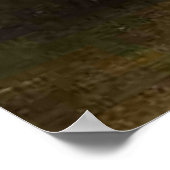 Florida Scene, mooi kunstschilderij, Poster (Hoek)