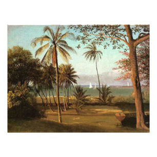 Florida Scene, schilderij in fijne kunst, Foto Afdruk