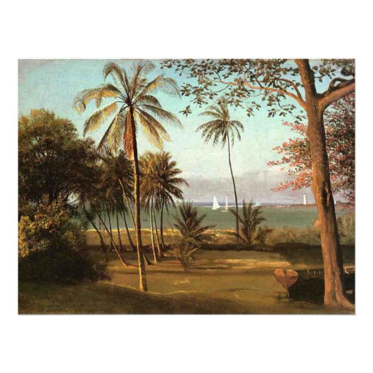 Florida Scene, schilderij in fijne kunst, Foto Afdruk (Voorkant)
