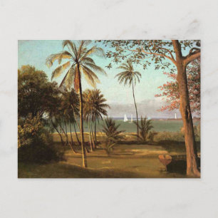 Florida Scene, schilderij van fijne kunst, Briefkaart