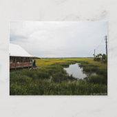 Florida Scenery Briefkaart (Voorkant)