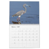 Florida scenes Calendar Kalender (Feb 2027)