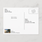 Florida Scheve Palmboom Zonsondergang Beterschap A Briefkaart (Achterkant)