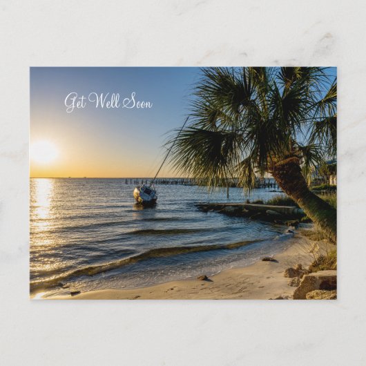 Florida Scheve Palmboom Zonsondergang Beterschap A Briefkaart (Voorkant)
