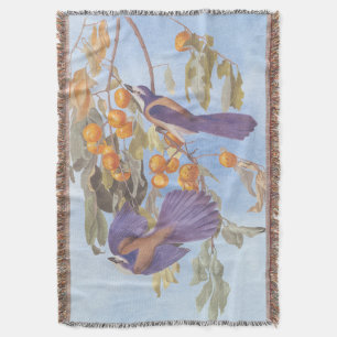 Florida Scrub Jay Audubon Bird Paar op Oranje boom Deken