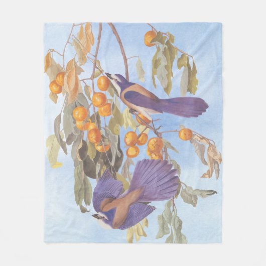 Florida Scrub Jay Audubon Bird Paar op Oranje boom Fleece Deken (Voorkant)
