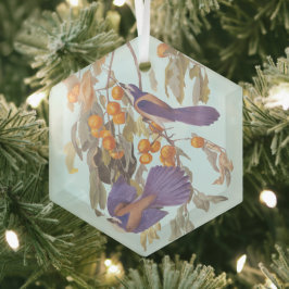 Florida Scrub Jay Audubon Bird Paar op Oranje boom Glas Ornament