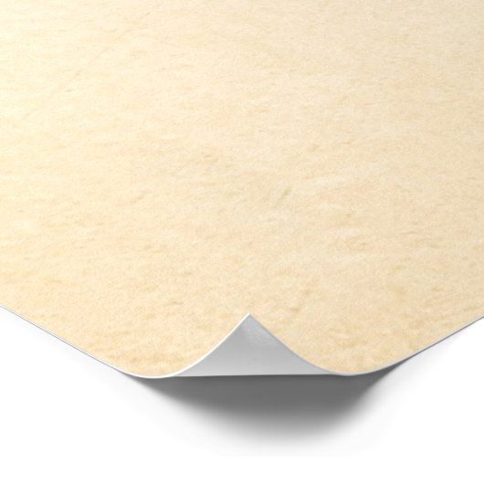 Florida Scrub Jay Birds en Verse Doormat Poster (Hoek)