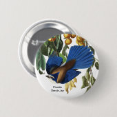 Florida Scrub-Jay, John James Audubon, Rare Bird, Ronde Button 5,7 Cm (Voorkant /achterkant)