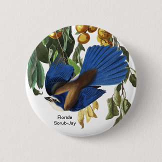 Florida Scrub-Jay, John James Audubon, Rare Bird, Ronde Button 5,7 Cm