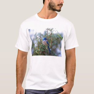 Florida Scrub Jay T-shirt