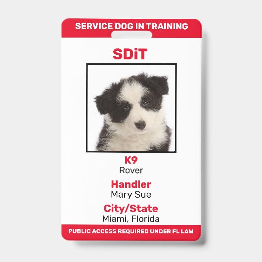 Florida SDiT (Service Dog In Training) info badge (Voorkant)