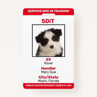 Florida SDiT (Service Dog In Training) info badge