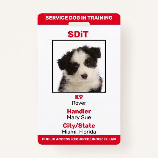 Florida SDiT (Service Dog In Training) info badge (Voorkant)