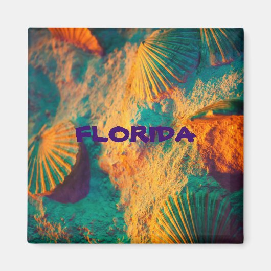 FLORIDA Sea Shells koelkast magnet (Voorkant)