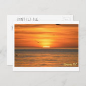Florida Seagull Sunset Briefkaart (Voorkant / Achterkant)
