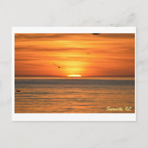 Florida Seagull Sunset Briefkaart