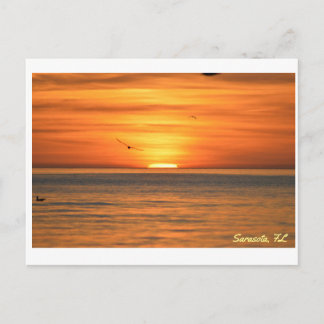 Florida Seagull Sunset Briefkaart