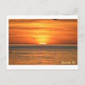 Florida Seagull Sunset Briefkaart (Voorkant)