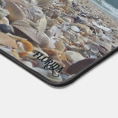 Florida Seashell Atlantic Ocean Beach Foto Bureaumat (Hoek)