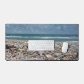 Florida Seashell Atlantic Ocean Beach Foto Bureaumat (Keyboard & Muis)