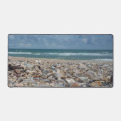 Florida Seashell Atlantic Ocean Beach Foto Bureaumat (Voorkant)