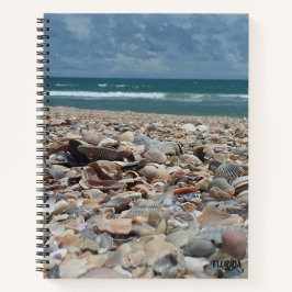 Florida Seashell Atlantic Ocean Beach Natuur Foto Notitieboek