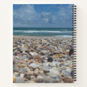 Florida Seashell Atlantic Ocean Beach Natuur Foto Notitieboek (Achterkant)