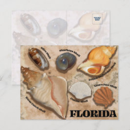 Florida Seashell Briefkaart