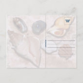Florida Seashell Briefkaart (Achterkant)
