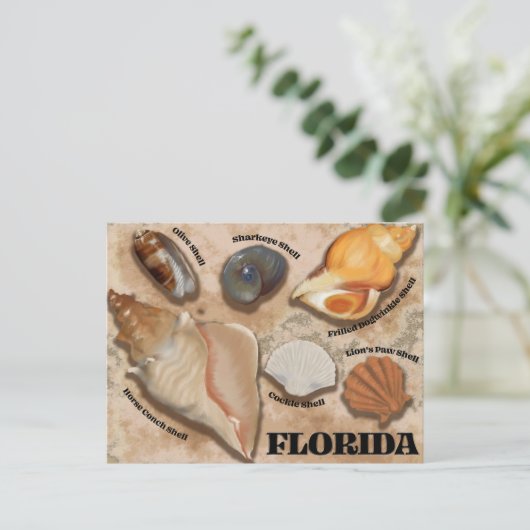 Florida Seashell Briefkaart (Staand voorkant)