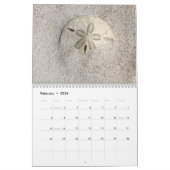 Florida Seashell Fotografie Kalendar Volume 2 Kalender (Feb 2026)