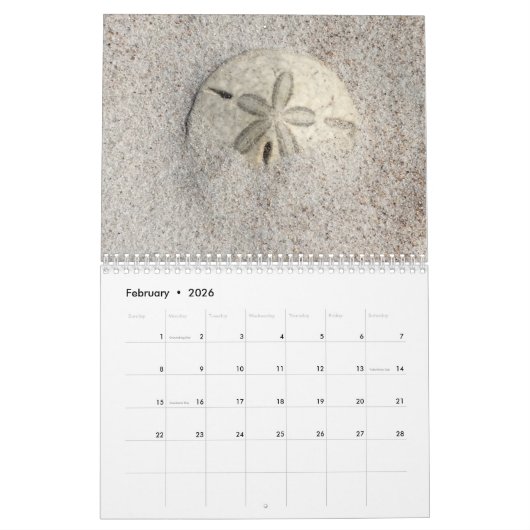 Florida Seashell Fotografie Kalendar Volume 2 Kalender (Feb 2026)