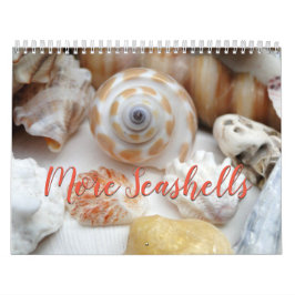 Florida Seashell Fotografie Kalendar Volume 2 Kalender